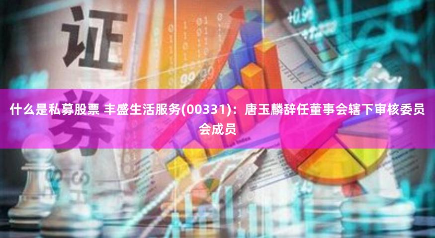 什么是私募股票 丰盛生活服务(00331)：唐玉麟辞任董事会辖下审核委员会成员